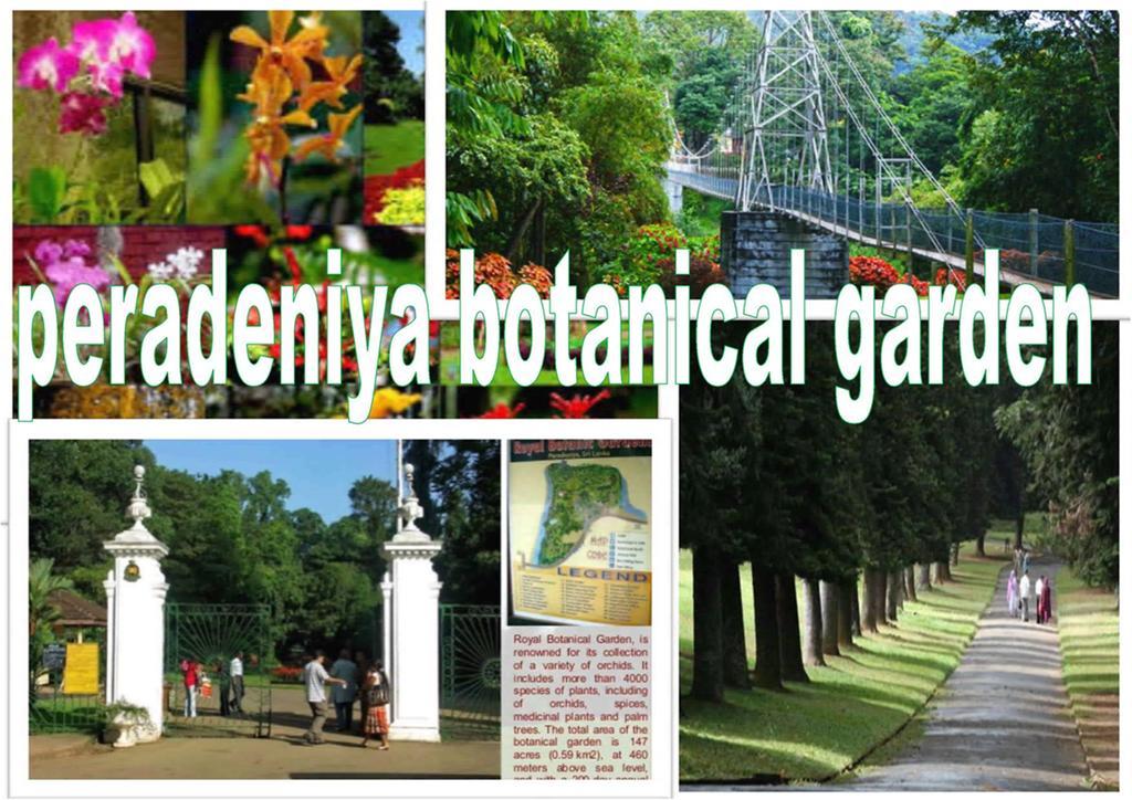 Greenwood Kandy Homestay Екстериор снимка
