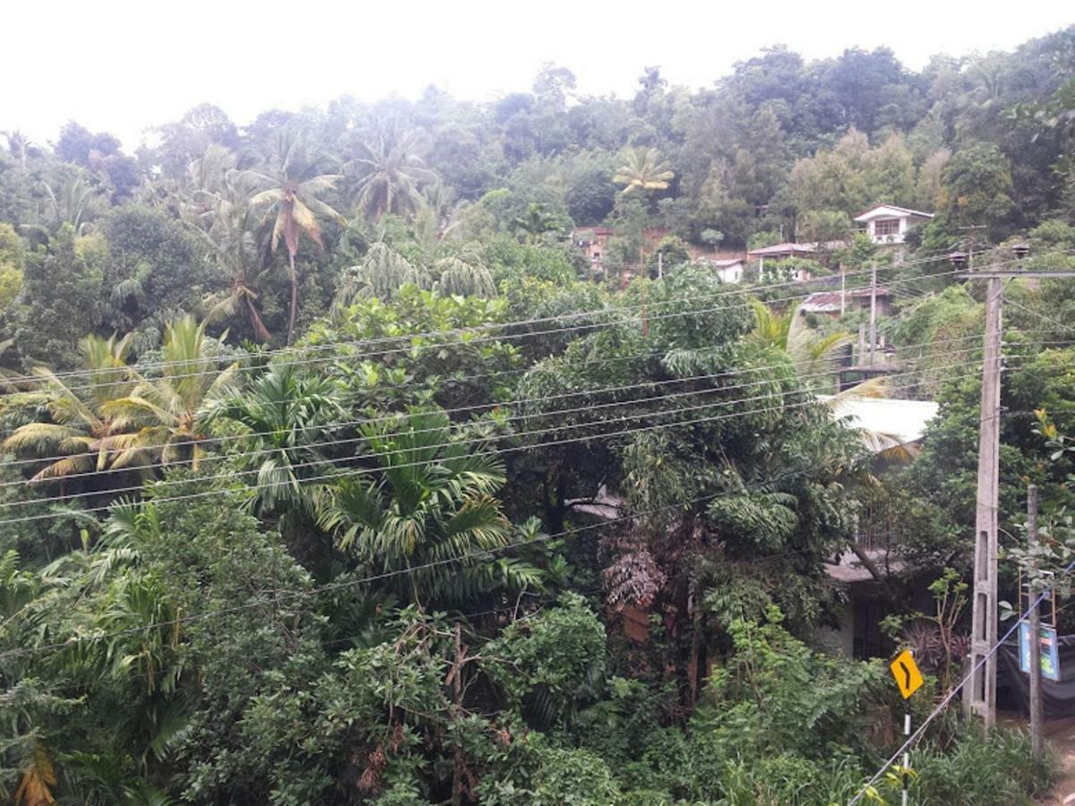 Greenwood Kandy Homestay Екстериор снимка